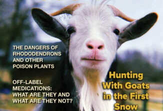Goat Journal Digital Issue 18